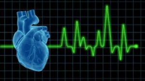 heart-stresstest-cardiovascular-1